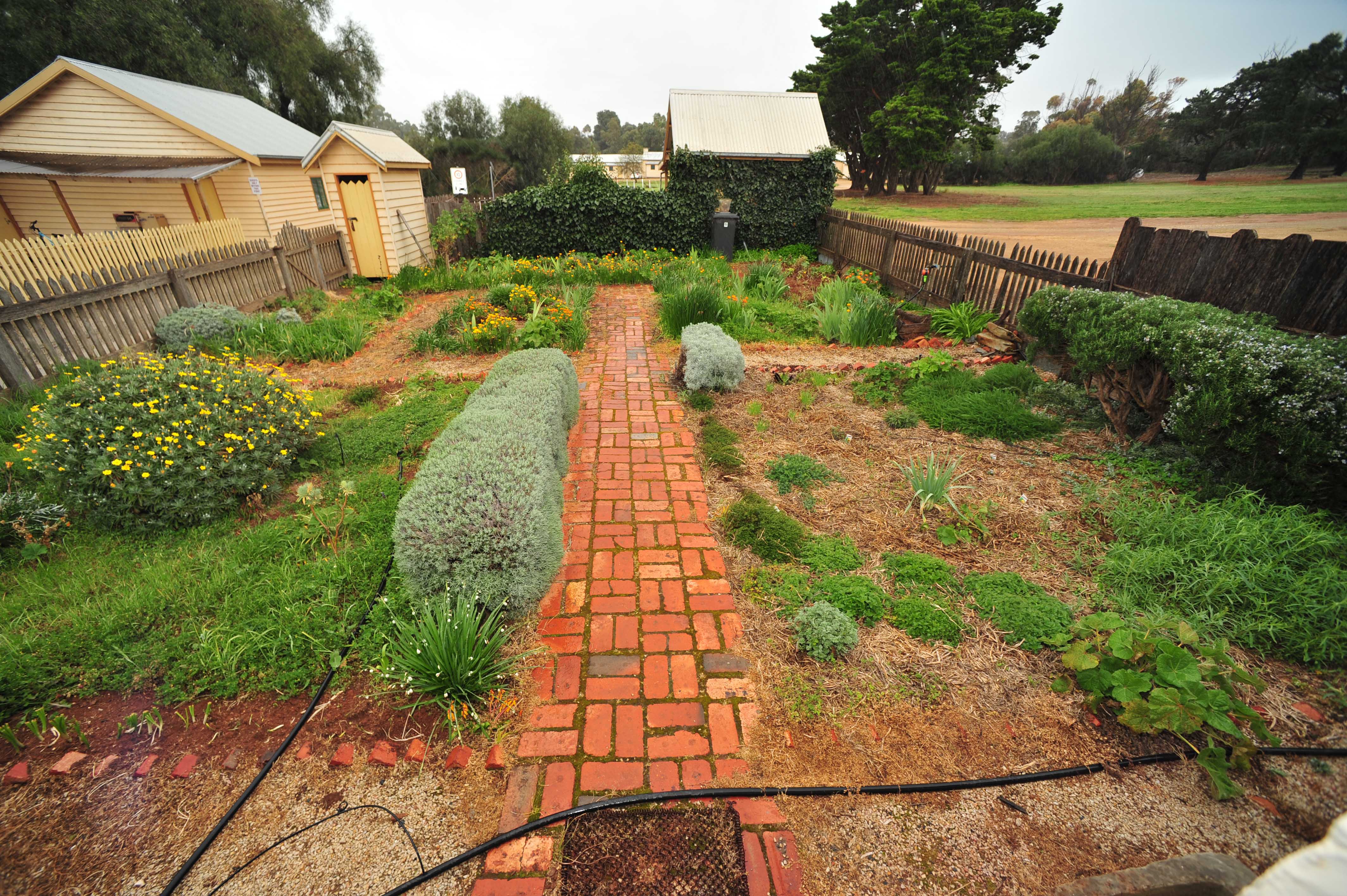 Growing their own vegetables at Paxton Square