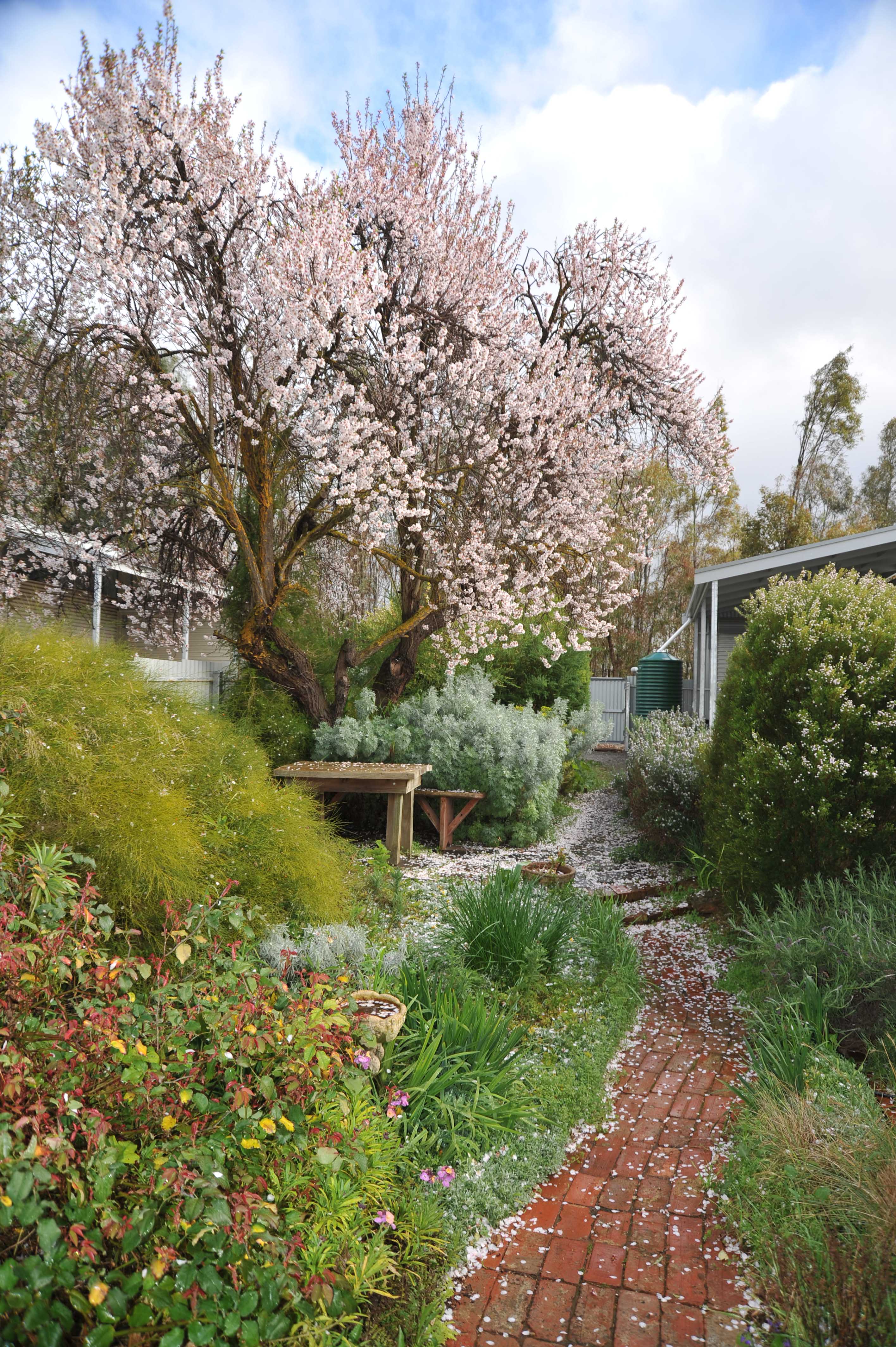 sitting in the garden